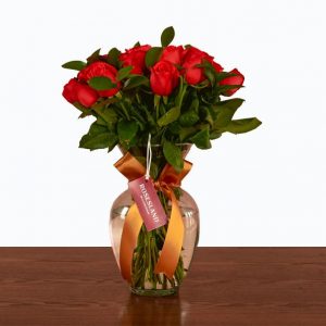 Premium Rose Display - Rosesland USA